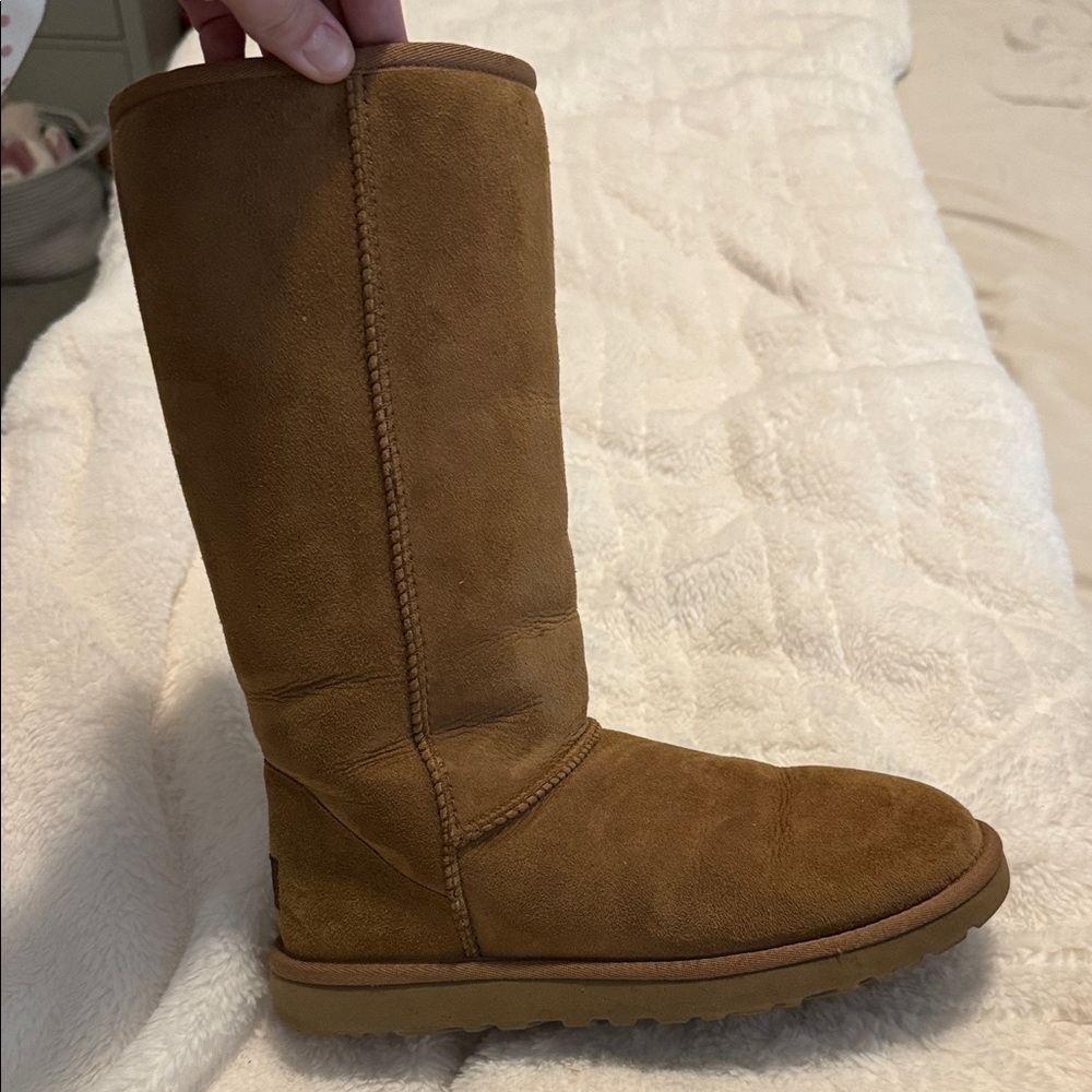 UGG Chestnut Suede Boots
